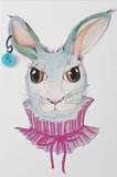 Funky Rabbit_
